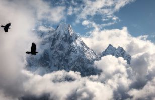 Odoo - Prueba 1 a tres columnas